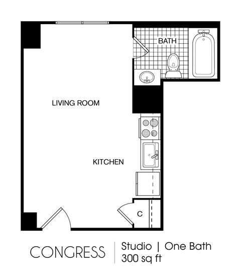 Floor plan for studio, 1 bath, 300 sqft